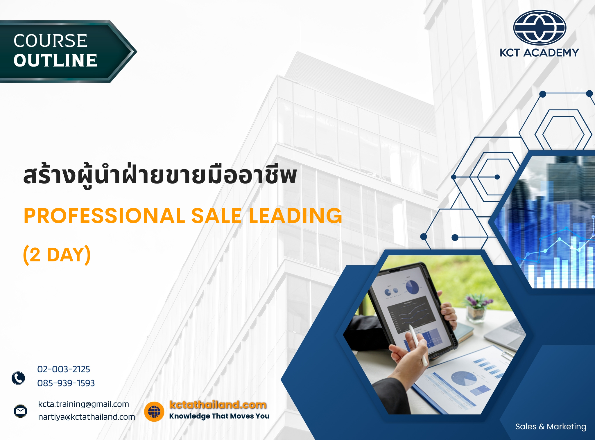 Professional Sale Leading